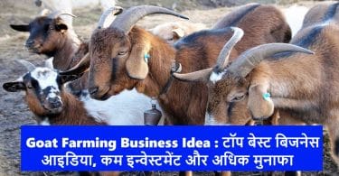 Goat Farming Business Idea
